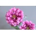 出清品 MAGIQ 人造花 FM106068-012 百日菊 桃