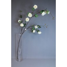 玫瑰枝加長 CR 151cm