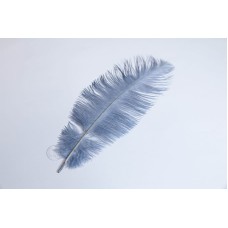 出清品鴕鳥毛 25至30公分 灰色