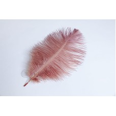 出清品鴕鳥毛 25至30公分 咖啡色