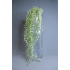 人造葉-MAGIQ 人造葉 FG000627 Tillandsia 淺綠