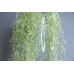 人造葉-MAGIQ 人造葉 FG000627 Tillandsia 淺綠