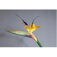 出清品 人造花 天堂鳥 黃