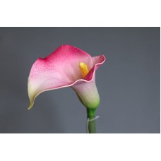 出清品 人造花 海芋 粉