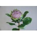 出清品 人造花 海神帝王花 紫