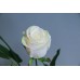 出清品 人造花 假日玫瑰 小白