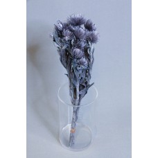 不凋花 東京堂  雛菊 FD004441-315 銀 小