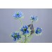 黑種草花 BLU 57cm