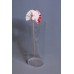 出清品 花插- 兔子扇花插 粉兔白扇