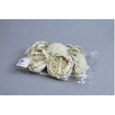 索拉花 牡丹花6CM 淺綠