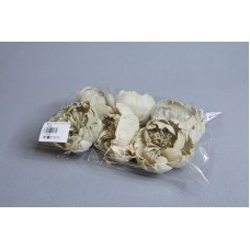 索拉花 牡丹花6CM 抹茶