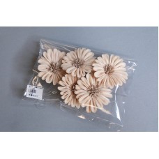 索拉花 圓邊向日葵8CM 淺咖