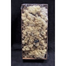 材料-Moss 馴鹿水草 原色