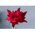 人造花-ASCA AX69107-002Poinsettia pick紅