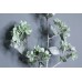 出清品 人造花 AX69414-53S 雪花噴霧 綠