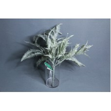 人造葉-MAGIQ FX518Abies firma冷杉