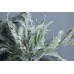 人造葉-MAGIQ FX518Abies firma冷杉
