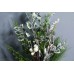 出清品 人造葉-MAGIQ XV1520Pinus諾貝松