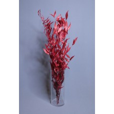 乾燥花-永生樺木葉 義大利 紅 小包