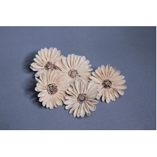 索拉花 圓邊向日葵8CM 米黃