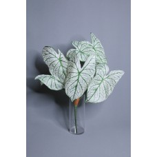 人造葉 彩葉芋 綠 L58cm 葉27cm