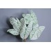 人造葉 彩葉芋 綠 L58cm 葉27cm