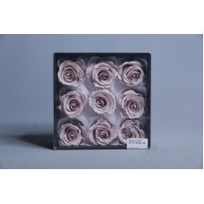 盒裝不凋花-不凋花 Rose Kanon M 9輪 灰粉
