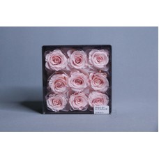 盒裝不凋花-大玫瑰 Rose Kanon 9輪 粉