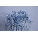 不凋花-永生花霞草 藍 約40cm