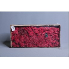出清品材料-Moss 馴鹿水草(紅-157)