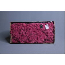 出清品材料-Moss 馴鹿水草(櫻桃紅-169)