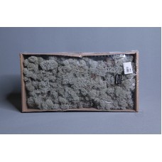 材料-Moss 馴鹿水草 銀灰色