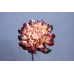 絕版品 人造花MAGIQ 人造大理花FM008564-018 米棕
