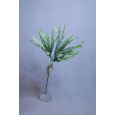 人造葉 鈕扣蕨