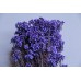 乾燥花-不凋花 漂色米香花 紫羅蘭