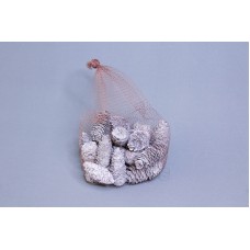 乾燥果實-長松果 刷白