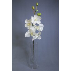 出清品 人造花 萬代蘭 白