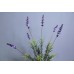 出清品 人造花-薰衣草