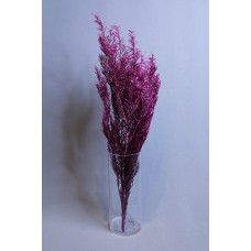 乾燥花-乾燥花 茶樹 玫紅 小包