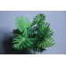 出清品 人造葉 羽葉蔓綠絨