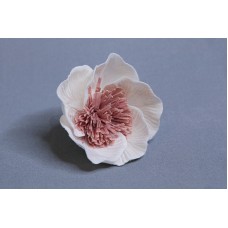 索拉花 罌粟索拉 8CM