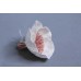 索拉花 罌粟索拉 8CM