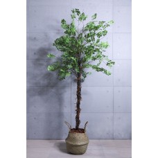人造樹 芹葉長枝擬真樹