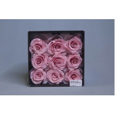 盒裝不凋花-大地農園Rose Kanon M9輪(復古粉)