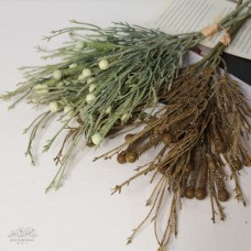 人造果 松柏果