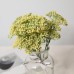 人造花 滿天星短支 6支 