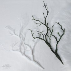 人造枝 大樹枝分叉