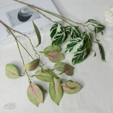 人造葉 3叉油畫竹芋葉