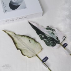人造葉 花芋