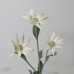 人造花 法蘭絨花 FM008778 白